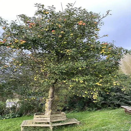 Opas Hus Auf Dom wakacyjny Pellworm