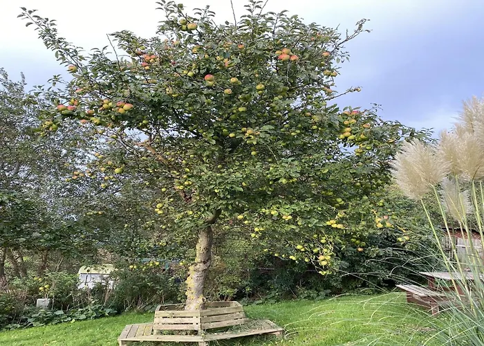 Opas Hus Auf Casa vacanze Pellworm